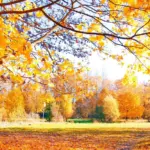 autumn travel in Czech Republic mood happy