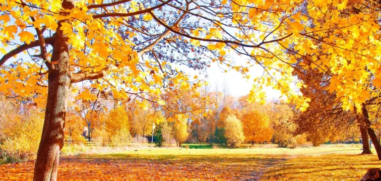 autumn travel in Czech Republic mood happy