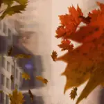protect artwork from humidity home autumn