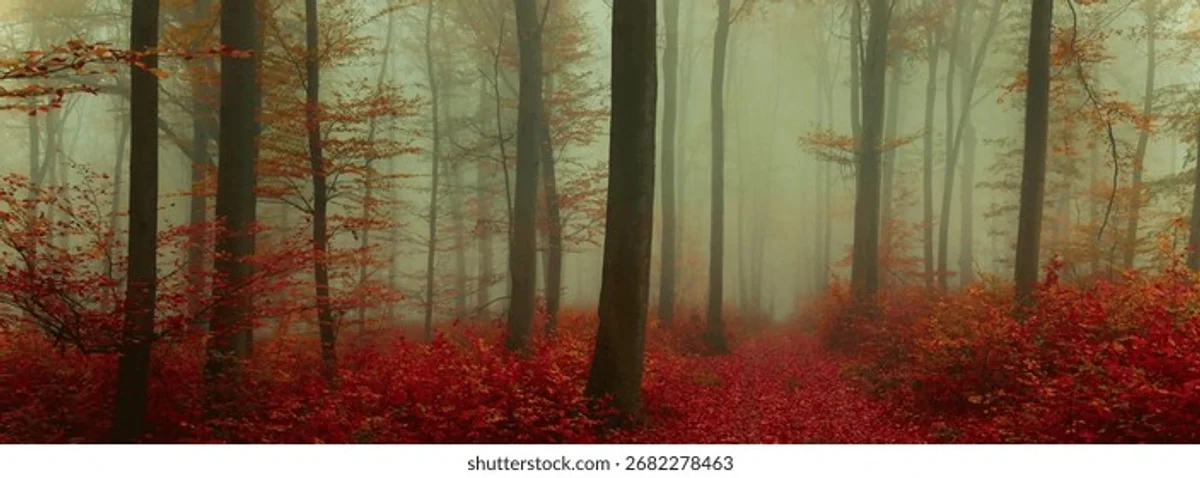 brain fog depression autumn mood Czech