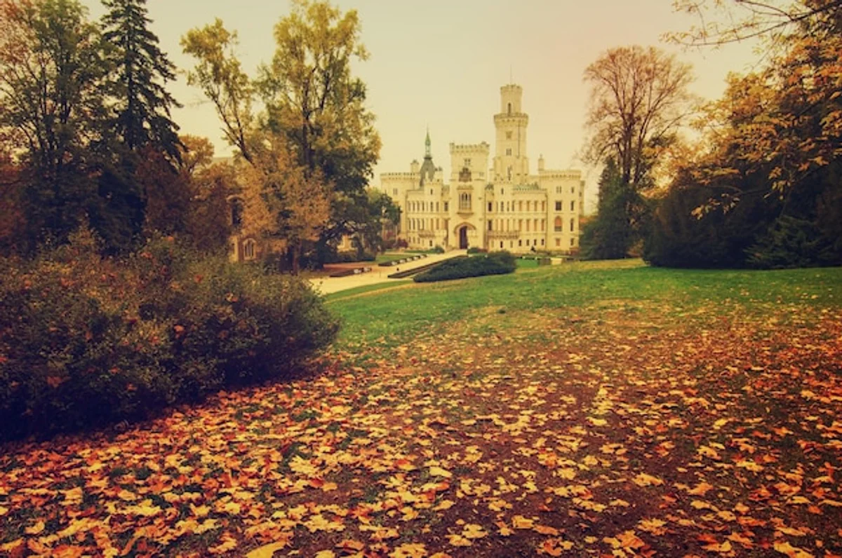 Czech autumn garden with birds
