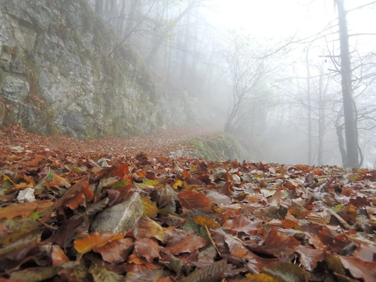 autumn hiking trail Czech Republic colorful forest scenery