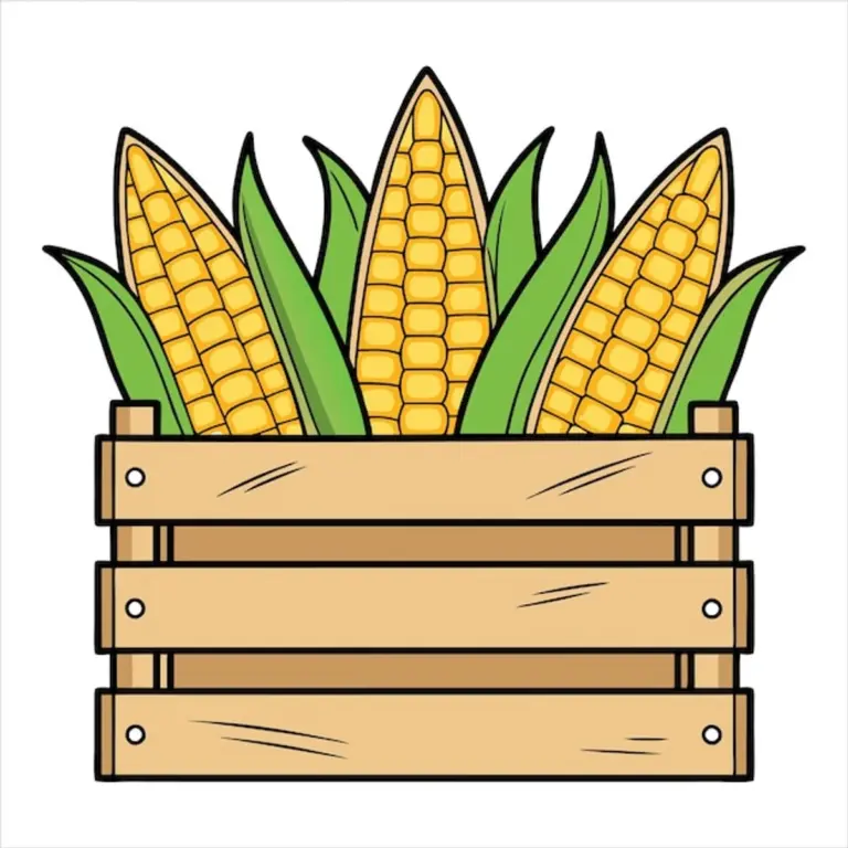 autumn surplus vegetables creative storage solutions