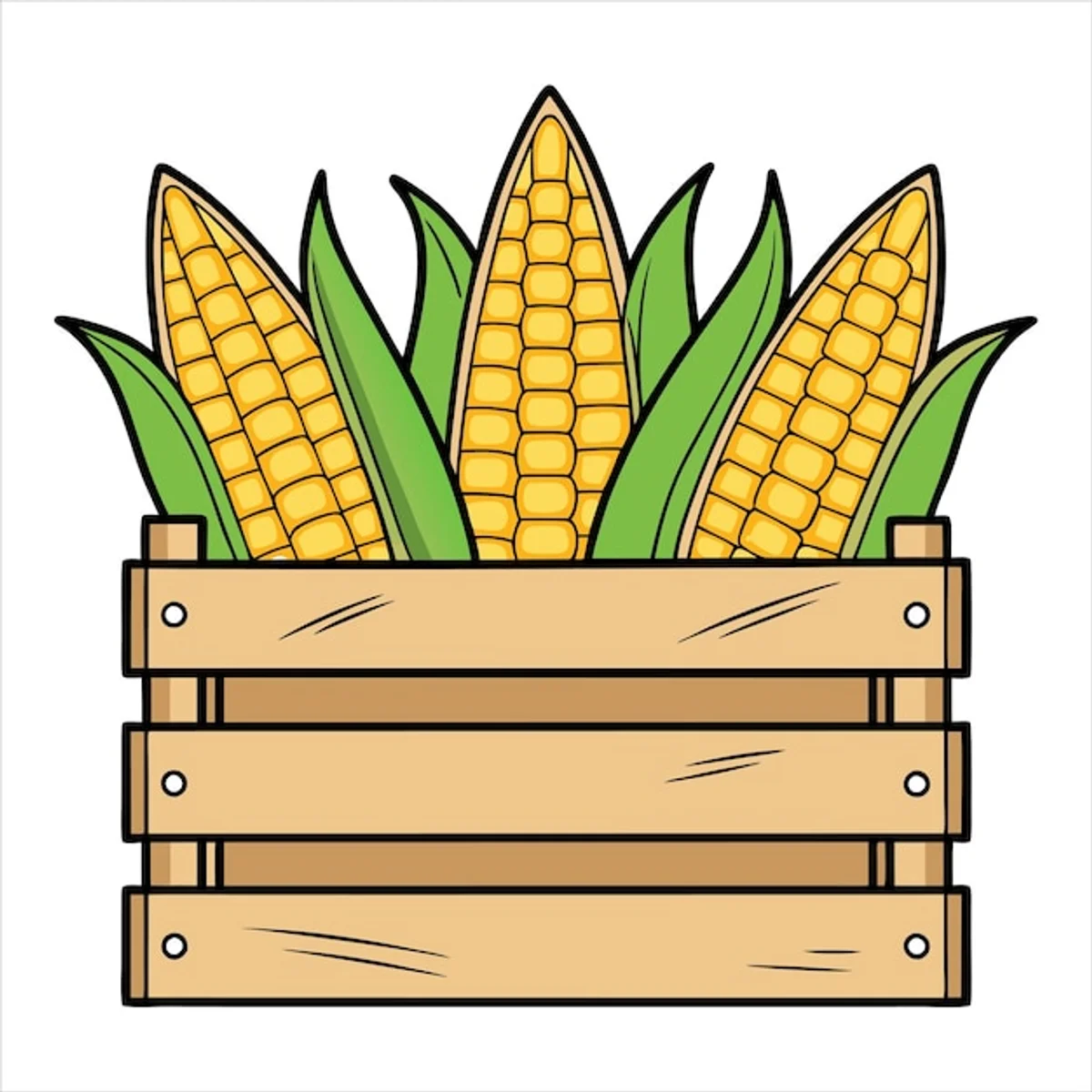 autumn surplus vegetables creative storage solutions