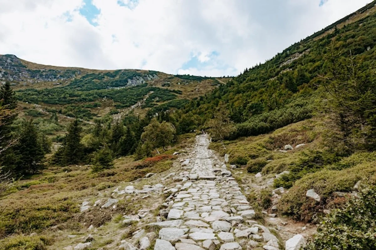 autumn path krkonose forest mist