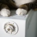 smartphone battery autumn cold outdoor