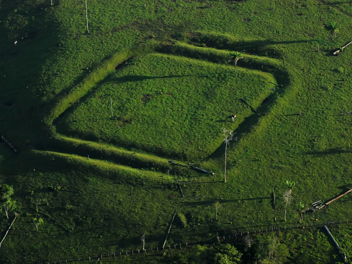 satellite photo of Amazon rainforest geoglyphs