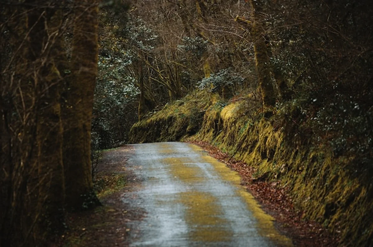 winter running icy path park Czech Republic