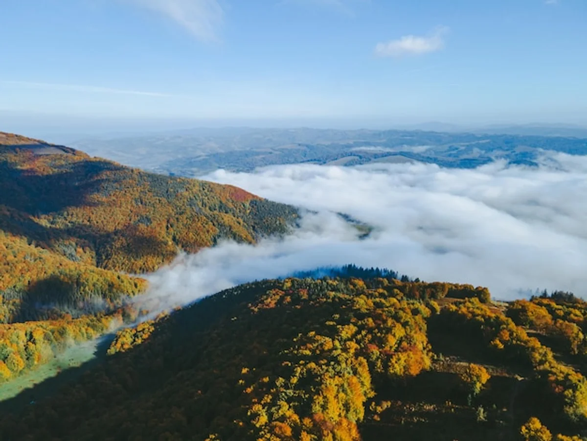 carpathian mountains autumn aerial view