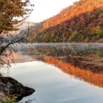 autumn migratory bird watching Czech Republic nature