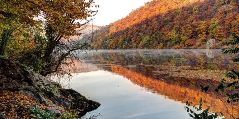 autumn migratory bird watching Czech Republic nature