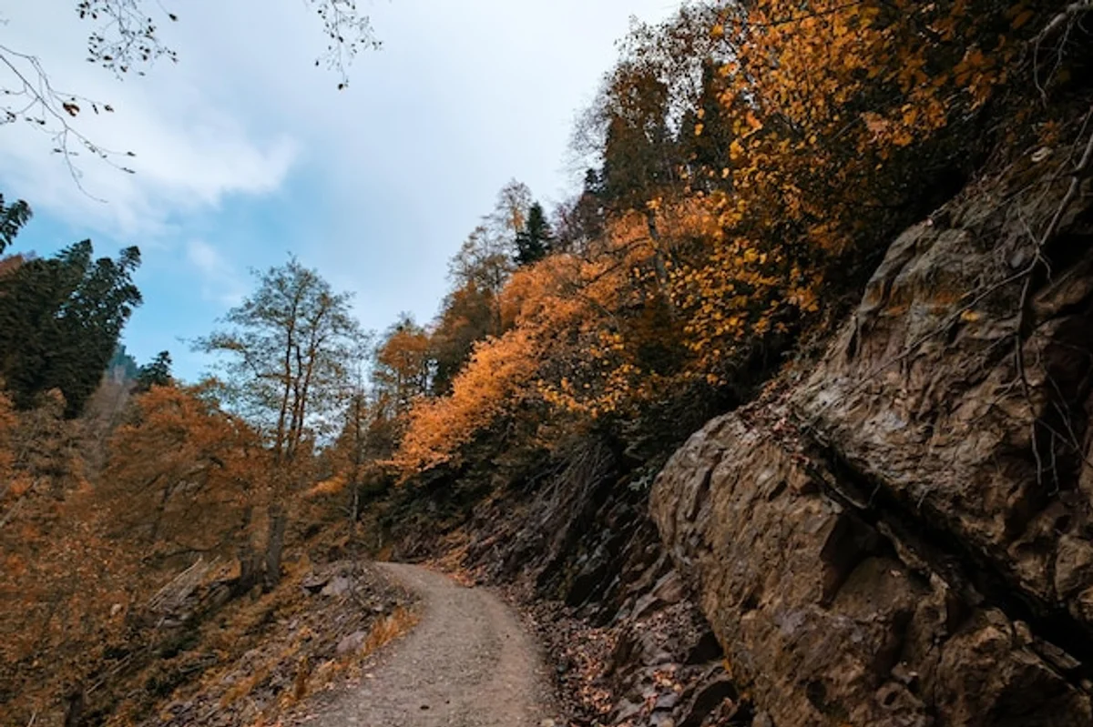 autumn hiking trail colorful forest Czech Republic