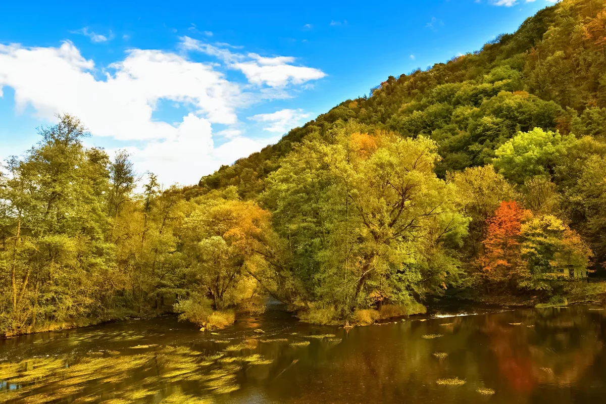 Podyji national park autumn view river Czechia