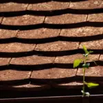 czech autumn home energy saving family