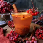 autumn rowan berries syrup healthy natural sweetener