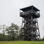 autumn bird migration observation in Czech Republic