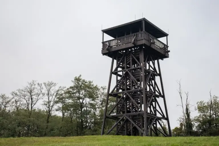 autumn bird migration observation in Czech Republic