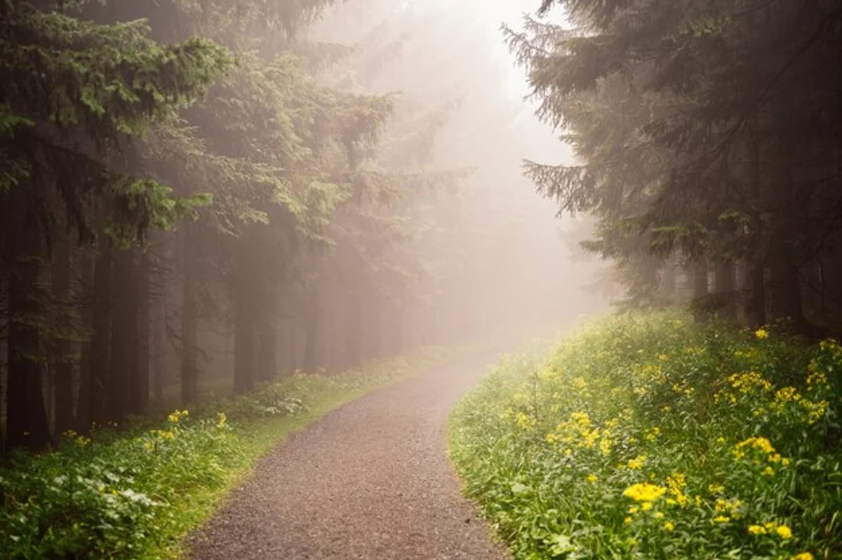 Czech mountains autumn hiking trail fog
