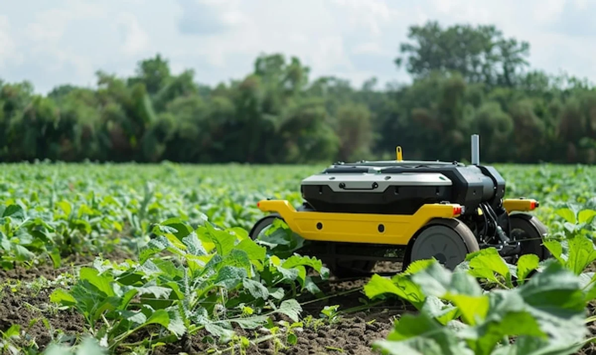 artificial intelligence productivity czech context