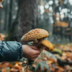 Sad autumn Czech person outside rain