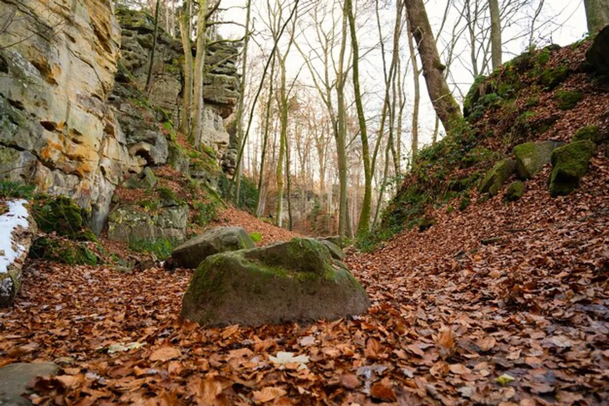 autumn hiking trail bohemian switzerland czech republic