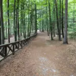 colorful autumn moravian karst landscape