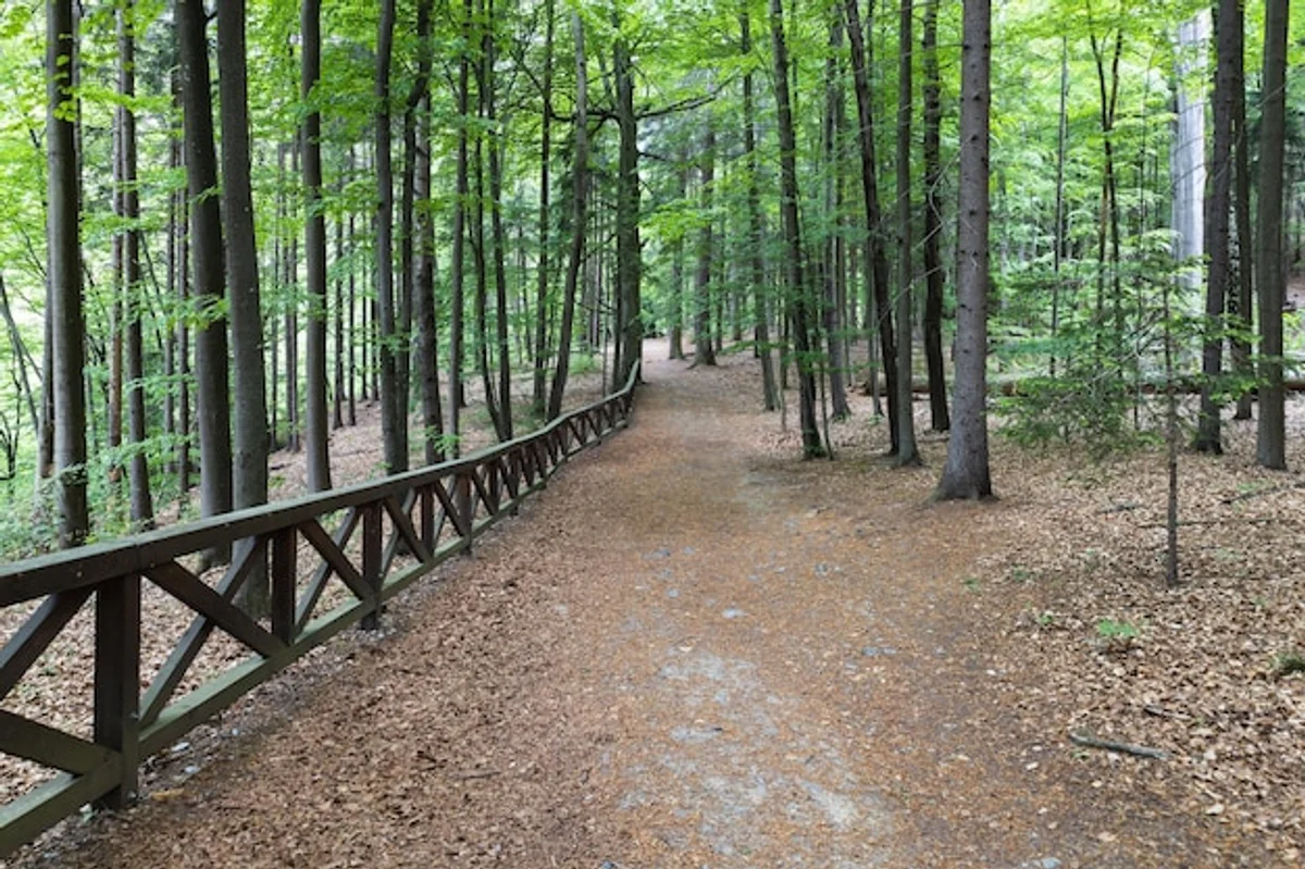 colorful autumn moravian karst landscape