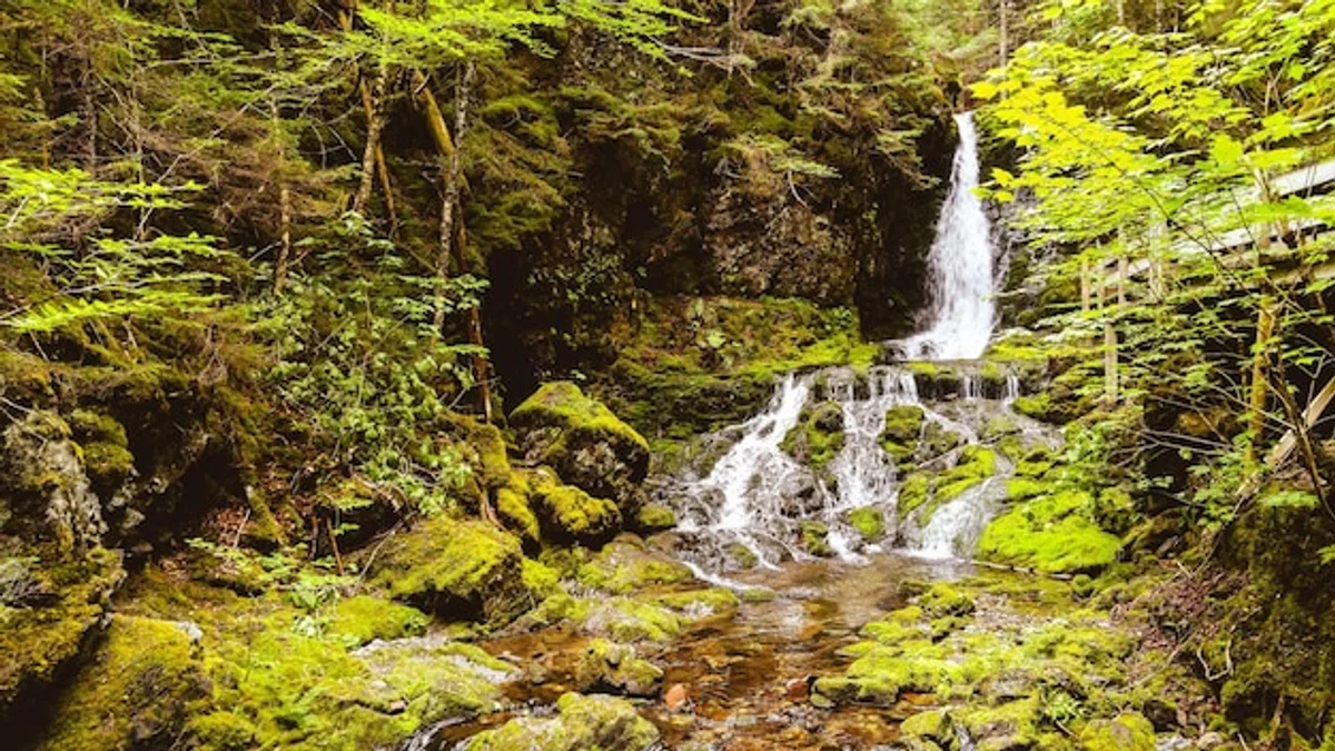 underground river punkva cave autumn
