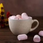 vegan autumn dessert without sugar or milk