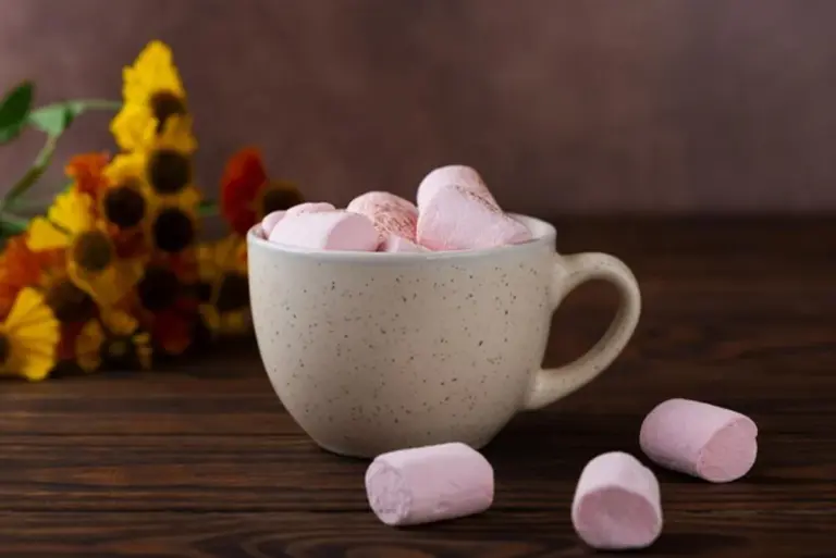 vegan autumn dessert without sugar or milk