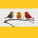 winter bird feeding in czech garden