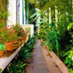 winter frost protection garden plants Czech