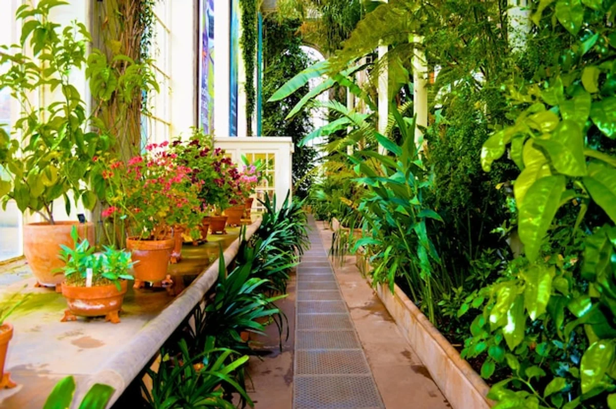 winter frost protection garden plants Czech