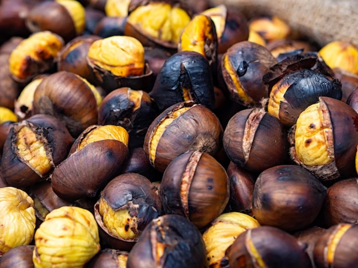 roasted chestnuts on baking tray closeup