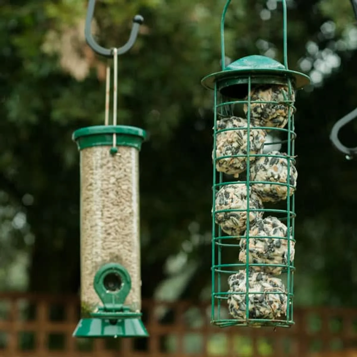 DIY fat balls bird feeder winter garden Czech Republic