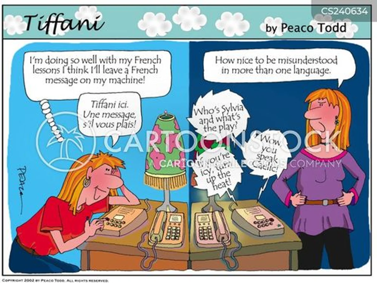 funny misunderstanding czech language sign