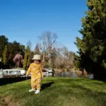 night flower planting autumn Czech garden