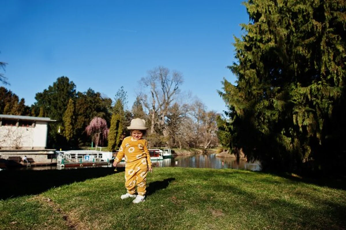 night flower planting autumn Czech garden