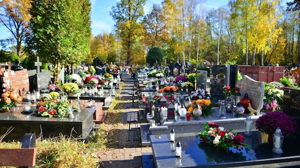 autumn night flower garden Czech Republic