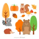 safety walking wild animals czech forest