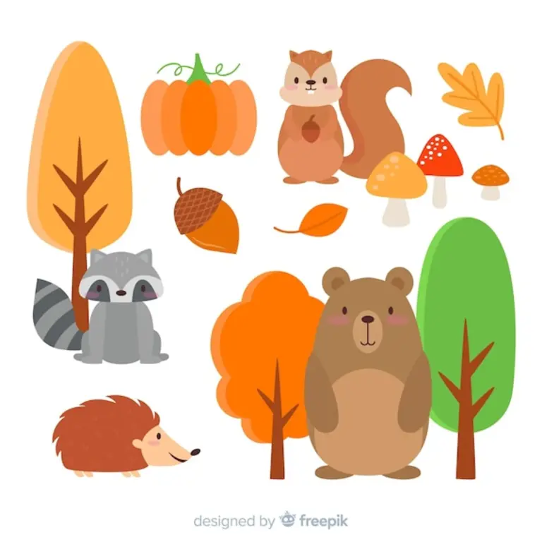 safety walking wild animals czech forest