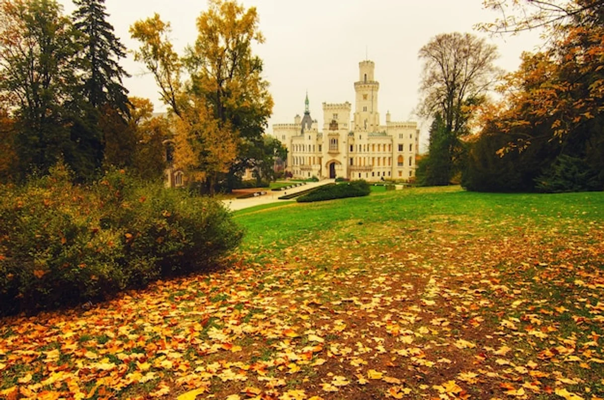 Czech design exhibition autumn festival