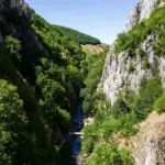 forest cranberries november Czech Republic