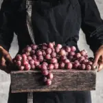 czech autumn farmers market vegetables baskets