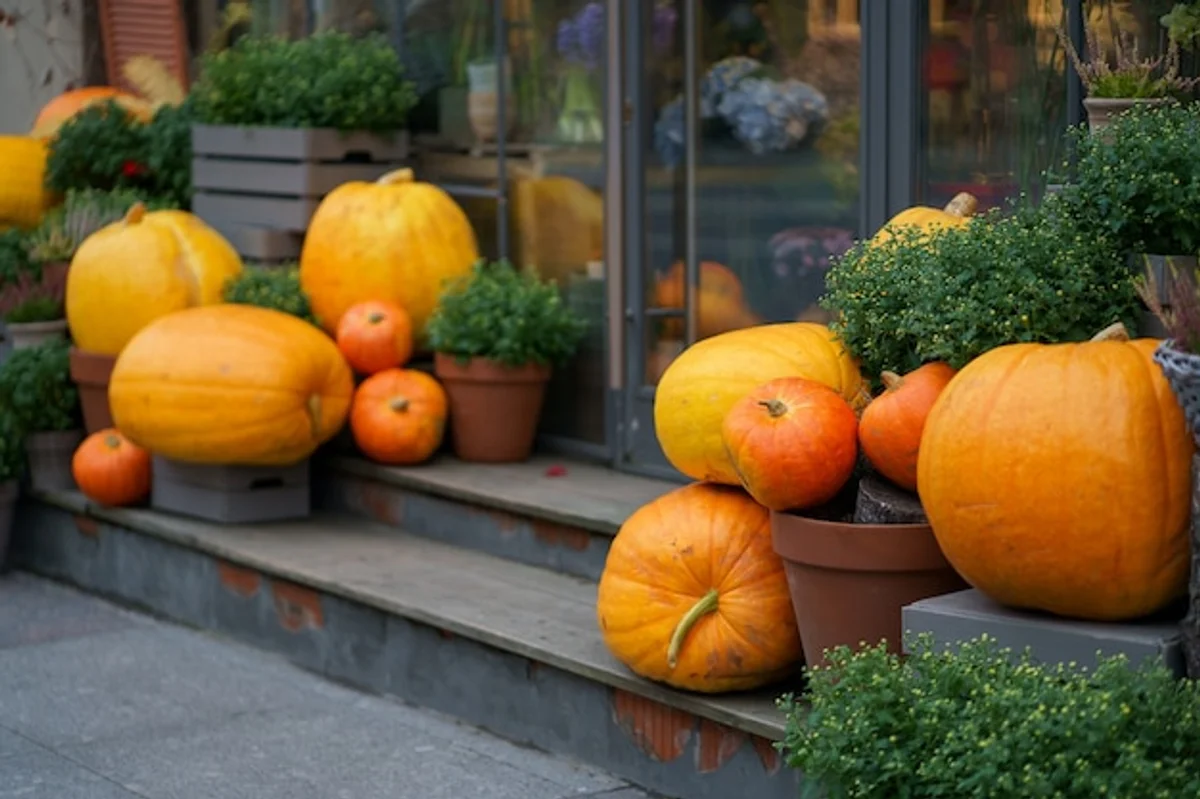czech autumn farmers market vegetables baskets