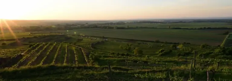 carpathian mountains fertile fields spring sunrise