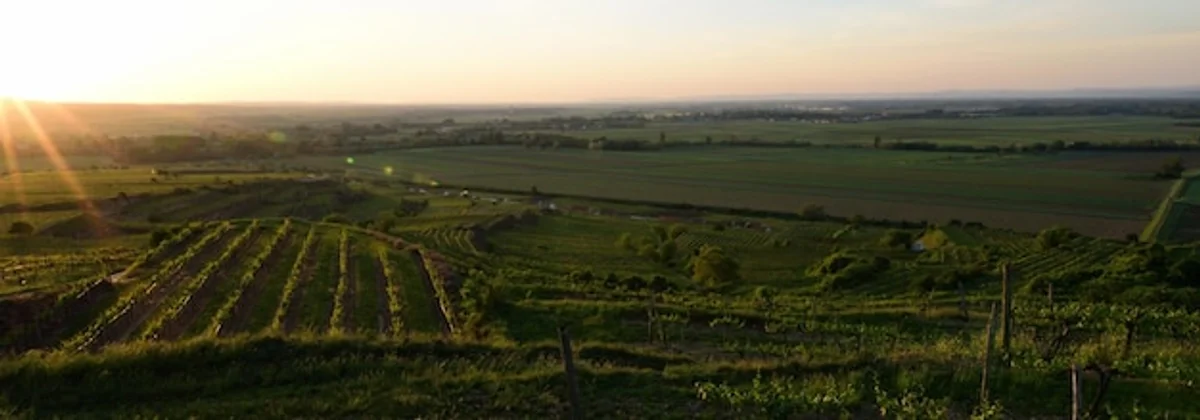 carpathian mountains fertile fields spring sunrise
