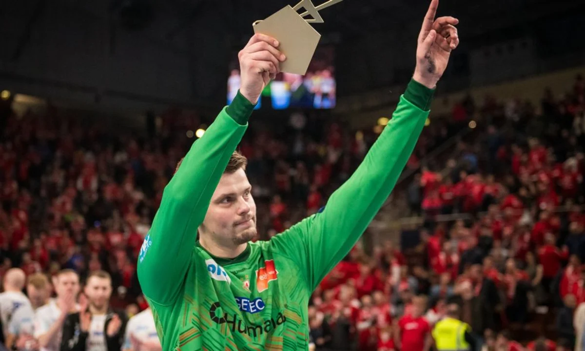 czech handball player scoring goal crowd cheering
