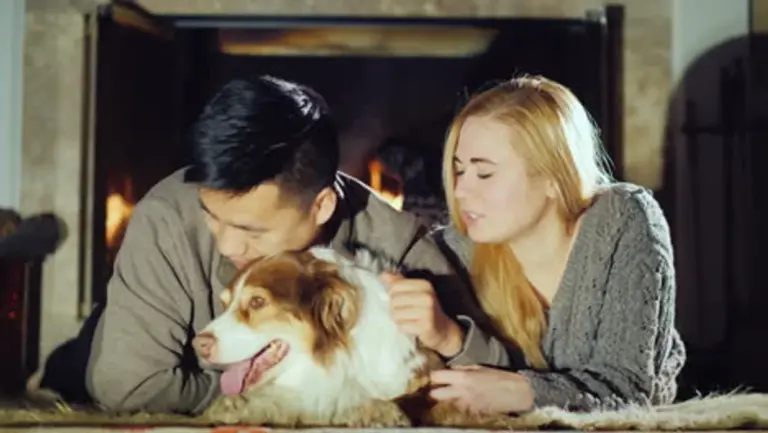 happy Czech family communication at home