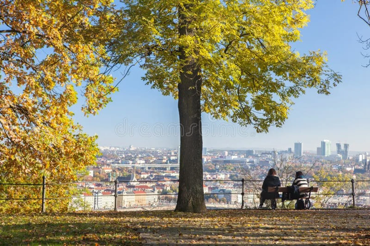 autumn melancholy in Czech city park